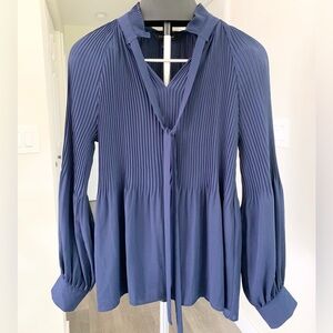 Banana Republic Sheer Pleated Long Sleeve Blouse